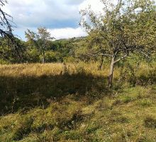 Casa 26 de vânzare | Domeniul din Apuseni