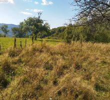 Casa 26 de vânzare | Domeniul din Apuseni