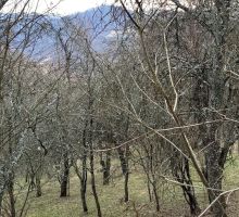 Casa 29 de vânzare | Domeniul din Apuseni