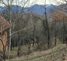 Casa 29 de vânzare | Domeniul din Apuseni