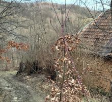 Casa 29 de vânzare | Domeniul din Apuseni
