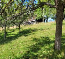 Casa 36 de vânzare | Domeniul din Apuseni