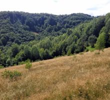 Casa 36 de vânzare | Domeniul din Apuseni