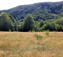 Casa 36 de vânzare | Domeniul din Apuseni