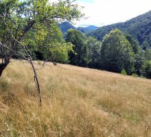 Casa 36 de vânzare | Domeniul din Apuseni