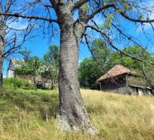 Casa 36 de vânzare | Domeniul din Apuseni