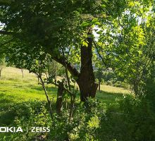 Casa 4 de vânzare | Domeniul din Apuseni