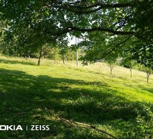 Casa 4 de vânzare | Domeniul din Apuseni