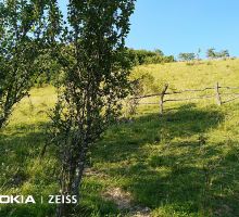 Casa 4 de vânzare | Domeniul din Apuseni
