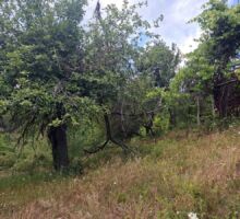 Casa 46 de vânzare | Domeniul din Apuseni