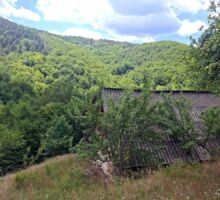 Casa 46 de vânzare | Domeniul din Apuseni