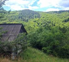 Casa 46 de vânzare | Domeniul din Apuseni
