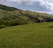 Casa 6 de vânzare | Domeniul din Apuseni