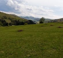 Casa 6 de vânzare | Domeniul din Apuseni