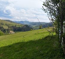 Casa 6 de vânzare | Domeniul din Apuseni