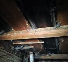 Casa 7 de vânzare | Domeniul din Apuseni