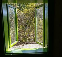 Casa 7 de vânzare | Domeniul din Apuseni