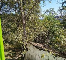 Casa 7 de vânzare | Domeniul din Apuseni