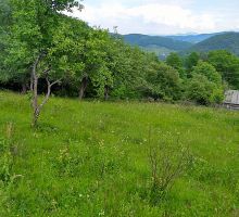 Casa 9 de vânzare | Domeniul din Apuseni