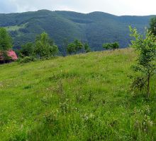 Casa 9 de vânzare | Domeniul din Apuseni