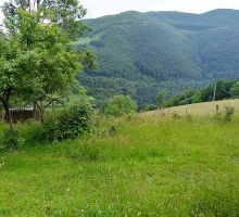 Casa 9 de vânzare | Domeniul din Apuseni