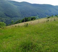 Casa 9 de vânzare | Domeniul din Apuseni