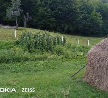 Domeniul 1 de vânzare | Domeniul din Apuseni