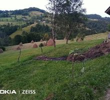 Domeniul 1 de vânzare | Domeniul din Apuseni