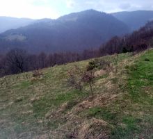 Terenul 10 de vânzare | Domeniul din Apuseni