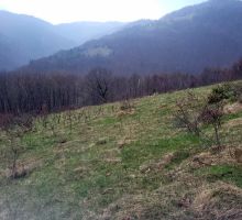Terenul 10 de vânzare | Domeniul din Apuseni