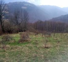 Terenul 10 de vânzare | Domeniul din Apuseni