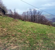 Terenul 10 de vânzare | Domeniul din Apuseni