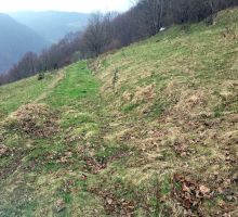Terenul 10 de vânzare | Domeniul din Apuseni