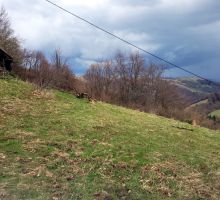 Terenul 10 de vânzare | Domeniul din Apuseni