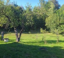 Casa 44 de vânzare | Domeniul din Apuseni