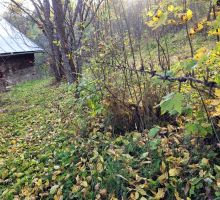 Domeniul 5 de vânzare | Domeniul din Apuseni