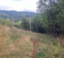 Casa 41 de vânzare | Domeniul din Apuseni