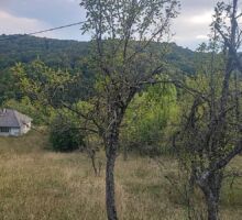 Casa 41 de vânzare | Domeniul din Apuseni