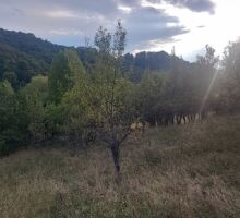 Casa 41 de vânzare | Domeniul din Apuseni