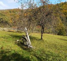 Casa 27 de vânzare | Domeniul din Apuseni