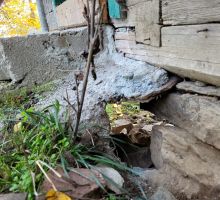 Terenul 2 de vânzare | Domeniul din Apuseni