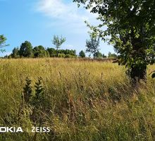 Casa 1 de vânzare | Domeniul din Apuseni