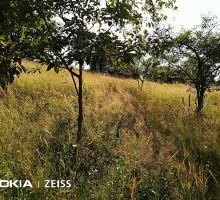 Casa 1 de vânzare | Domeniul din Apuseni
