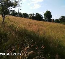Casa 1 de vânzare | Domeniul din Apuseni