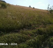 Casa 1 de vânzare | Domeniul din Apuseni