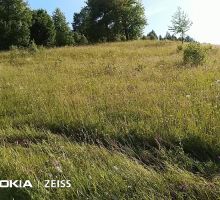 Casa 1 de vânzare | Domeniul din Apuseni