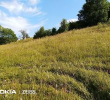 Casa 1 de vânzare | Domeniul din Apuseni