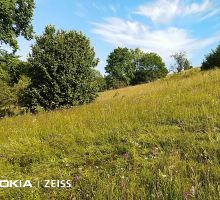 Casa 1 de vânzare | Domeniul din Apuseni