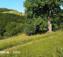 Casa 1 de vânzare | Domeniul din Apuseni