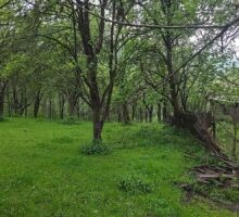 Casa 38 de vânzare | Domeniul din Apuseni
